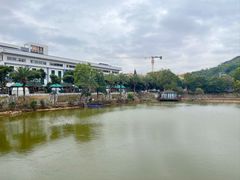 -梧桐庄园