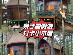-洛阳白云山景区
