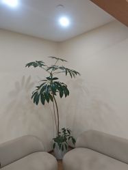 -HEYAN荷妍专业脱毛连锁机构