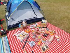 -春花秋色城市公园