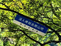 -石台牯牛降景区