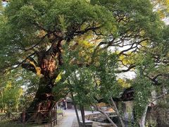 -西山风景区