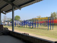 -杭州湾海上花田景区