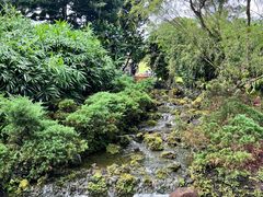 -新加坡总统府