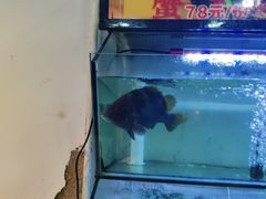 -林记海鲜排档·十年海鲜地标