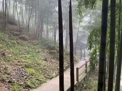 -藏龙百瀑风景区