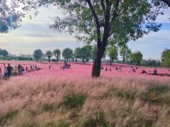 -汉长安城未央宫国家考古遗址公园