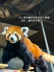 -Zoolung Zoolung动物主题公园(海信广场店)