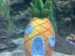 -南昌海洋公园