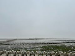 -南汇嘴观海公园