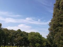 -喜洋洋蟹庄(阳澄湖店)