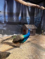 点击看大图 -酷嗒动物文化乐园(cutezoo西溪乐天城店)