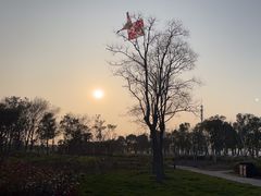 -春花秋色城市公园