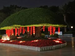 -南宁南湖公园