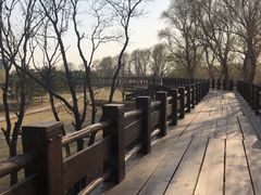 -蒲河岛湿地公园