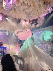 -艾米丽婚纱礼服