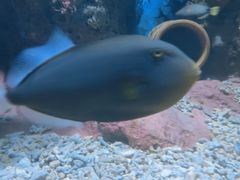 -多彩贵州城极地海洋世界