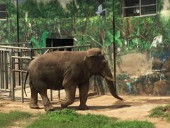 -西安秦岭野生动物园