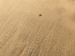 -普陀山风景名胜区-千步大沙