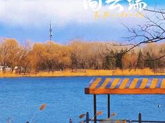 -朝阳公园