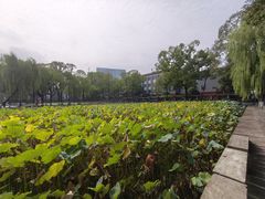 -四川大学(望江校区)