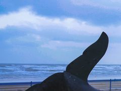 -烟台金沙滩海滨公园