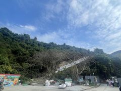 -南丫岛