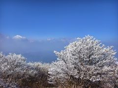 -大围山国家森林公园