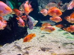 -太平洋海底世界