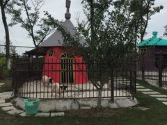 -上海滴水湖皇冠假日酒店