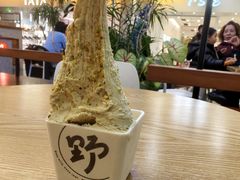 -野人先生Gelato(上海长宁龙之梦店)