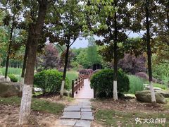 -洪湖悦兮半岛国际温泉度假村
