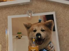 -YCHL Studios健身工作室(市二宫店)