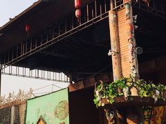 -呀路古热带植物园