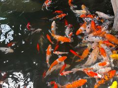 -南宫五洲植物乐园