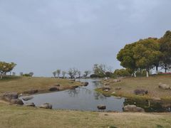 -滆湖低碳生态公园
