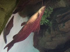 -泉城欧乐堡海洋极地世界