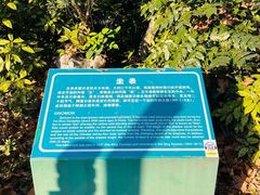 -紫金山天文台