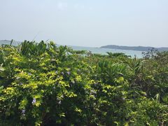 -三亚亚龙湾红树林度假酒店