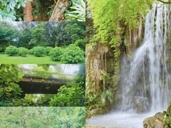 -中国科学院华南植物园
