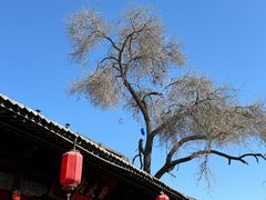 -山西王家大院