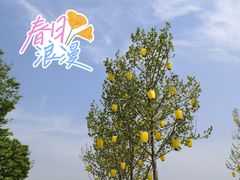 -歌斐颂巧克力小镇