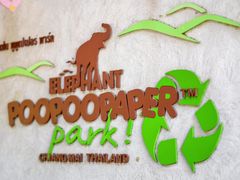 -大象粑粑造纸公园