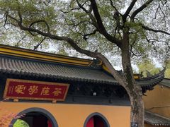 -宝岩生态观光园