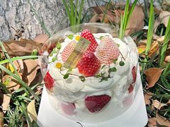 -卷心卷意·轻甜蛋糕(新光天地店)