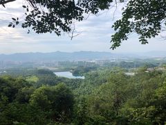 -大奇山国家森林公园