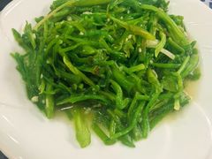 -泸沽肴(泸沽湖大洛水村农村信用社旁店)