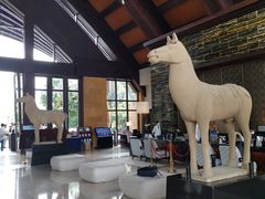 -三亚湾海居铂尔曼度假酒店