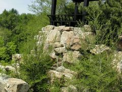 android_upload_pic-沈阳植物园