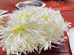 -华强阁菊花宴自助火锅店